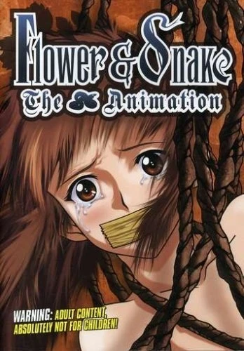 DVD Cover (Kitty Media)
