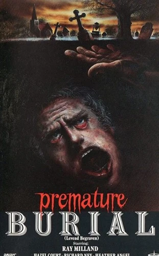 VHS Cover (Netherlands)