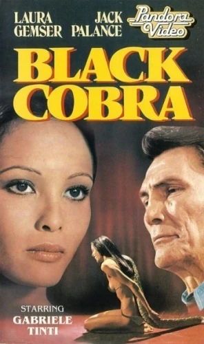 VHS Cover (Netherlands)