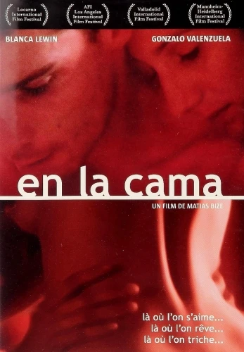 DVD Cover (France)