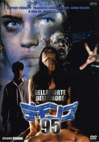 DVD Cover (Japan)