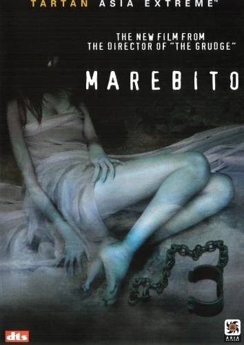 DVD Cover (Tartan Video)