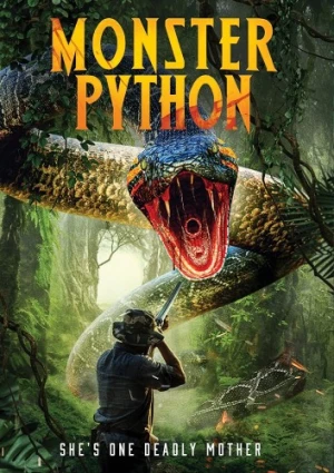 DVD Cover (ITN Distribution)