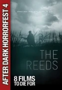 The Reeds