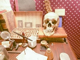 Museum of the Mountain West