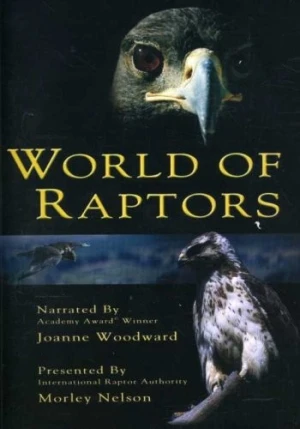DVD Cover (STS Media)