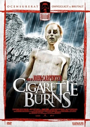 DVD Cover (Sweden)