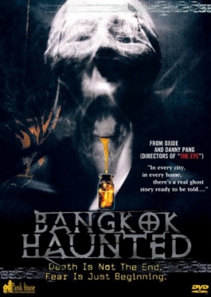 DVD Cover (Panik House)