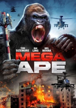 DVD Cover (Wild Eye Releasing)