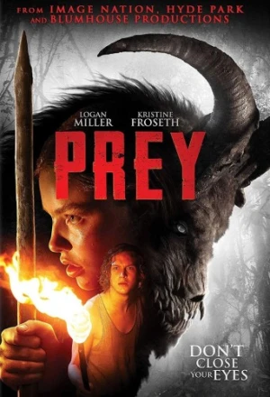 DVD Cover (Cinedigm)