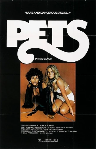 Theatrical Poster (USA)