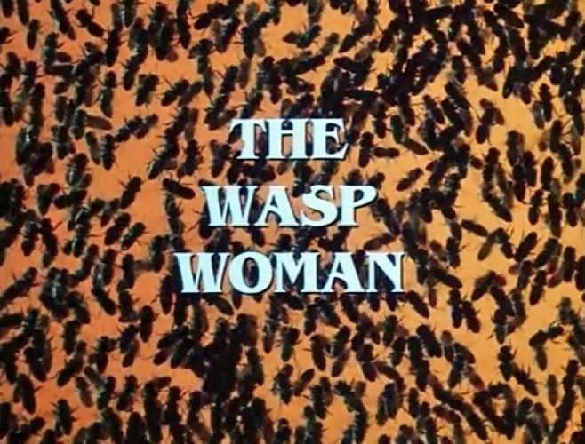 Title Card