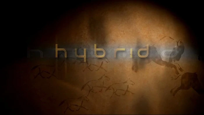 Title Card