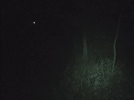 Bachelors Grove Cemetery and Waverly Hills Sanatorium