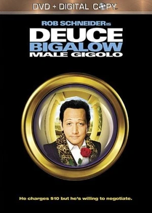 DVD Cover (Touchstone Pictures)