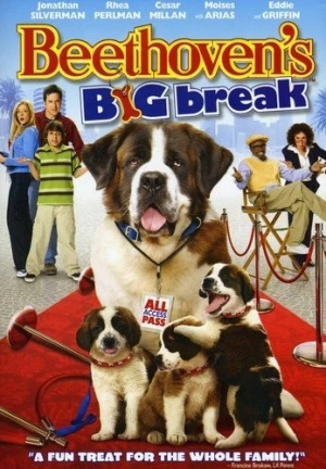 DVD Cover (Universal)
