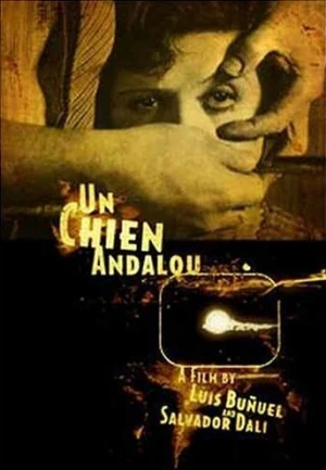 DVD Cover (Transflux Films)