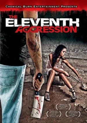 DVD Cover (Chemical Burn Entertainment)