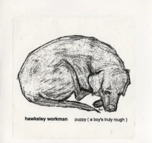 Puppy (A Boy's Truly Rough)