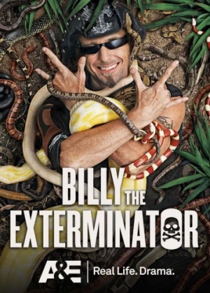 Theatrical Poster