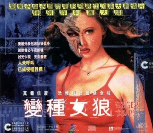 VCD Cover (Hong Kong)