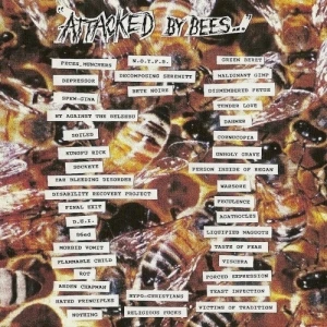 Attacked by Bees…