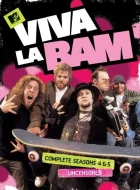 Viva La Bam: Season 4