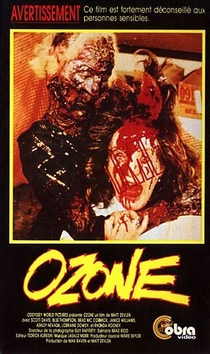 VHS Cover (France)