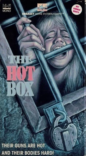 VHS Cover (Embassy Home Entertainment)