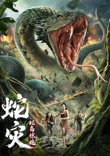 Theatrical Poster (China)