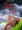 Xiu Xiu: The Sent-Down Girl
