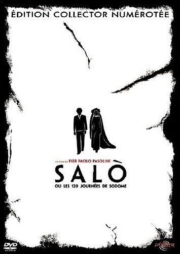 DVD Cover (France)
