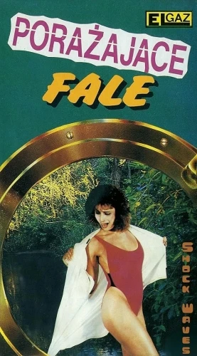 VHS Cover (Poland)