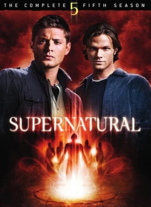 DVD Cover (Warner Brother)
