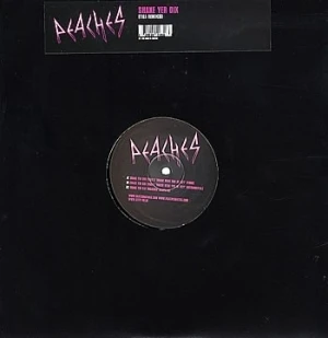 Shake Yer Dix: Tiga Remixes