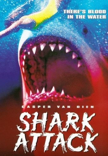 DVD Cover (Lions Gate)