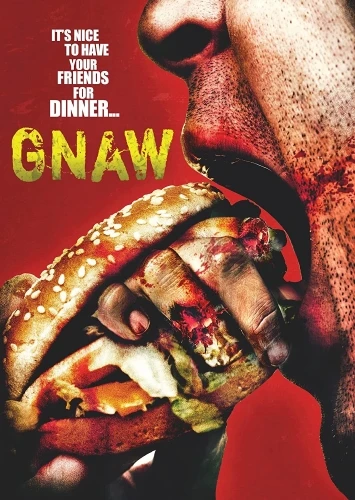 DVD Cover (Jinga Films)