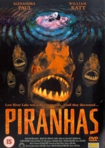 DVD Cover (UK)