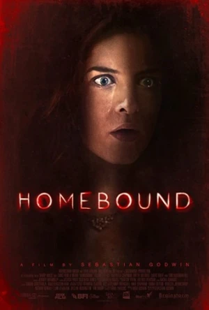 Theatrical Poster