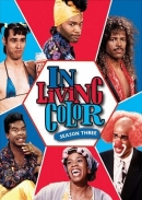 In Living Color: Season 3