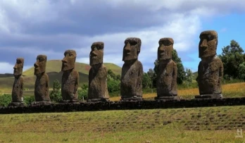 The Sentinels