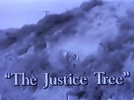 The Justice Tree