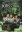 The Kids In The Hall: Season 5