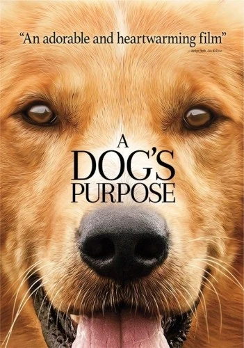 DVD Cover (Universal)