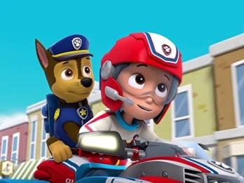 Pups Save a School Bus/Pups Save the Songbirds