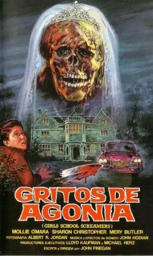 VHS Cover (Spanish)