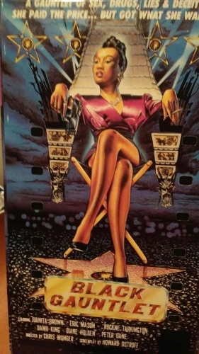 VHS Cover (Bingo Video)