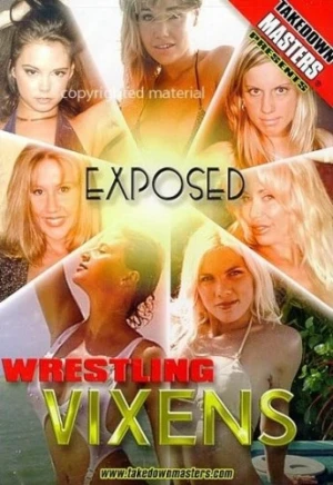 DVD Cover (Big Vision Entertainment)