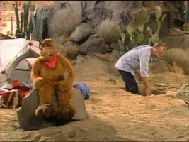 Mr. Sandman