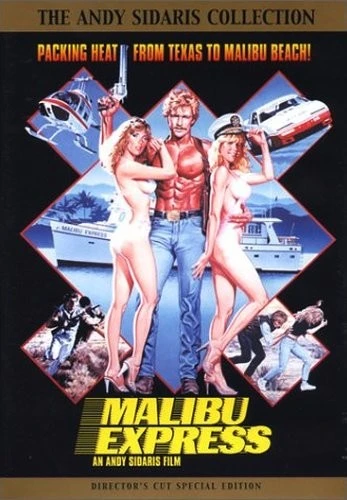 DVD Cover (Malibu Bay Films)